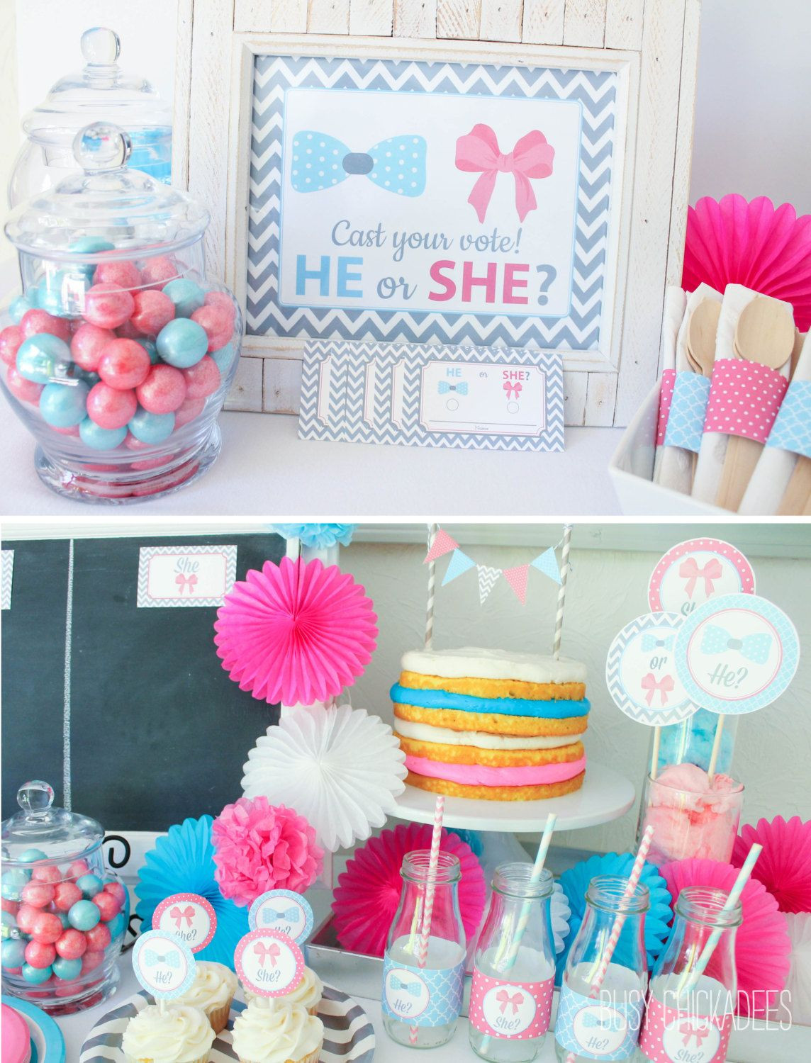 Baby Gender Reveal Party Gifts
 10 Baby Gender Reveal Party Ideas Baby Shower
