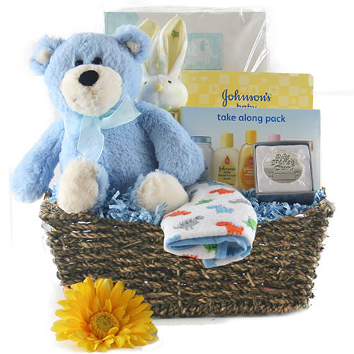 Baby Gift Basket Delivery
 Special Delivery Baby Boy Gift Basket