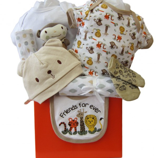 Baby Gift Basket Delivery
 Toronto Baby Boy Gift Baskets tario Baby Gift Basket