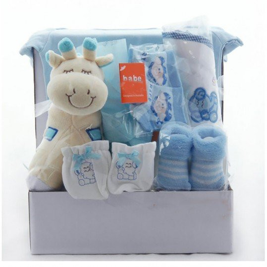 Baby Gift Basket Delivery
 Giraffe Baby Gift Basket For Boys Newborn Baby Gifts