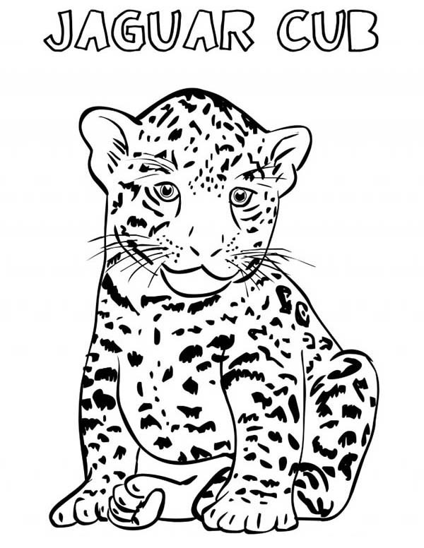 The Best Baby Jaguar Coloring Pages Home, Family, Style and Art Ideas