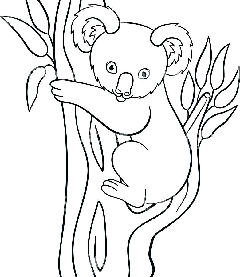 Baby Koala Coloring Pages
 Baby Koala Drawing at GetDrawings