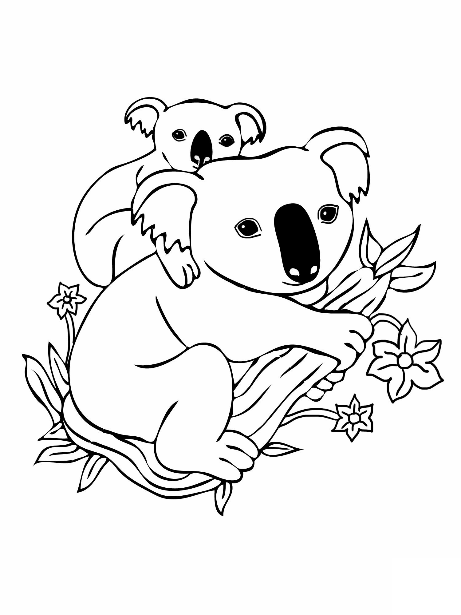 Baby Koala Coloring Pages
 Free Printable Koala Coloring Pages For Kids