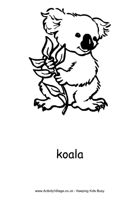 Baby Koala Coloring Pages
 Koala Colouring Page 2 ClipArt Best ClipArt Best