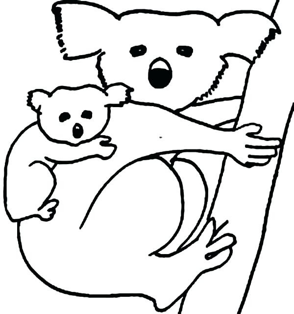 Baby Koala Coloring Pages
 The best free Koala drawing images Download from 691 free