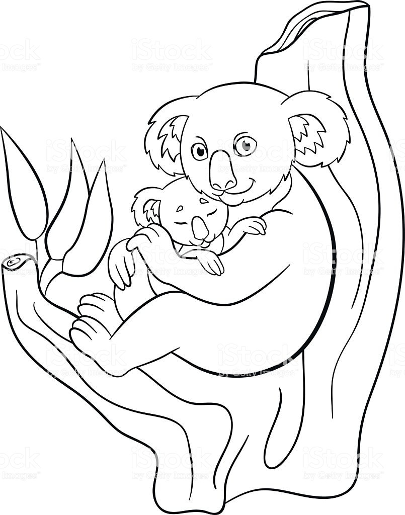 Baby Koala Coloring Pages
 Draw Samples Baby Koala Bear Coloring Pages