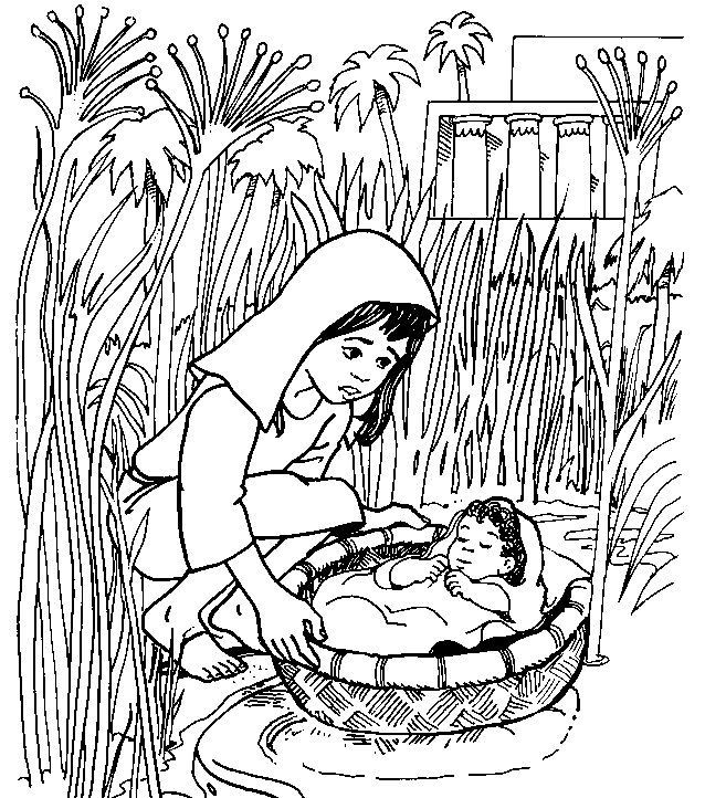 Baby Moses Coloring Sheet
 Moses Printable Coloring Pages