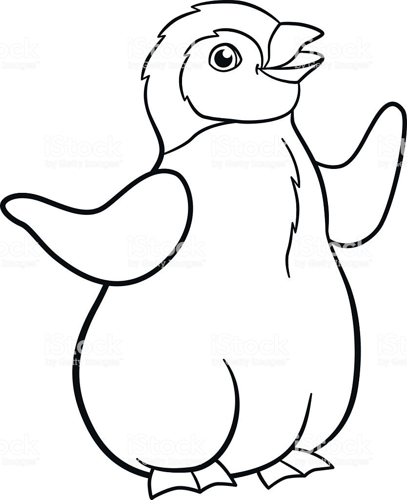 Baby Penguin Coloring Page
 Coloring Pages Little Cute Baby Penguin Smiles Stock