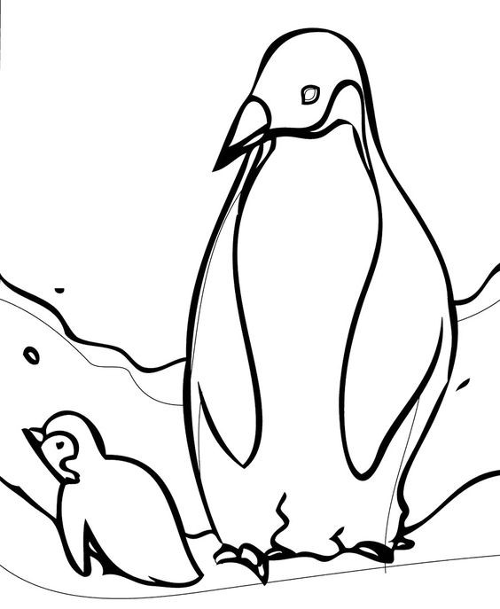 Baby Penguin Coloring Page
 Pinterest • The world’s catalog of ideas