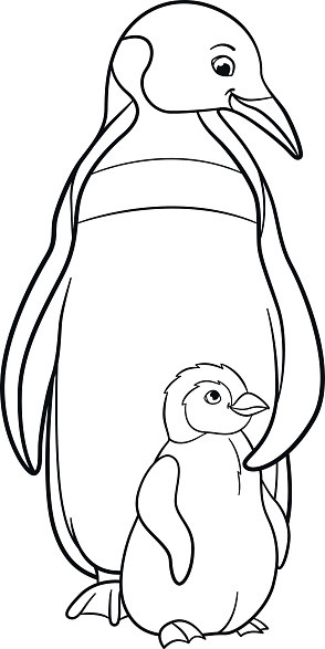Baby Penguin Coloring Page
 Coloring Pages Mother Penguin With Her Cute Baby Stock