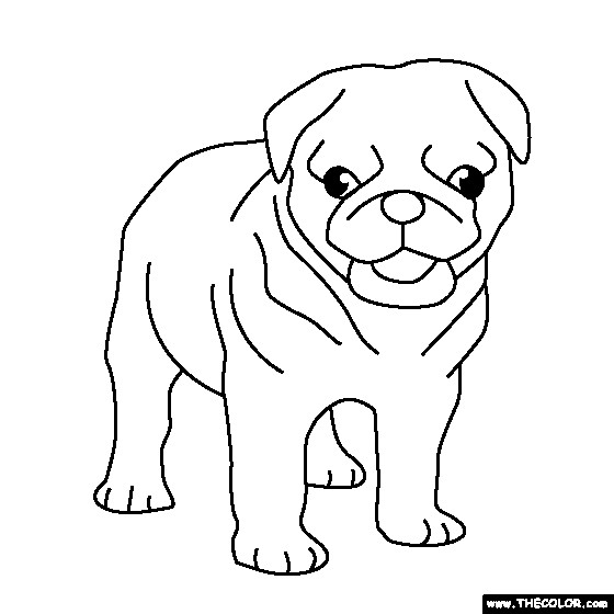 Baby Pug Coloring Pages
 Dogs line Coloring Pages