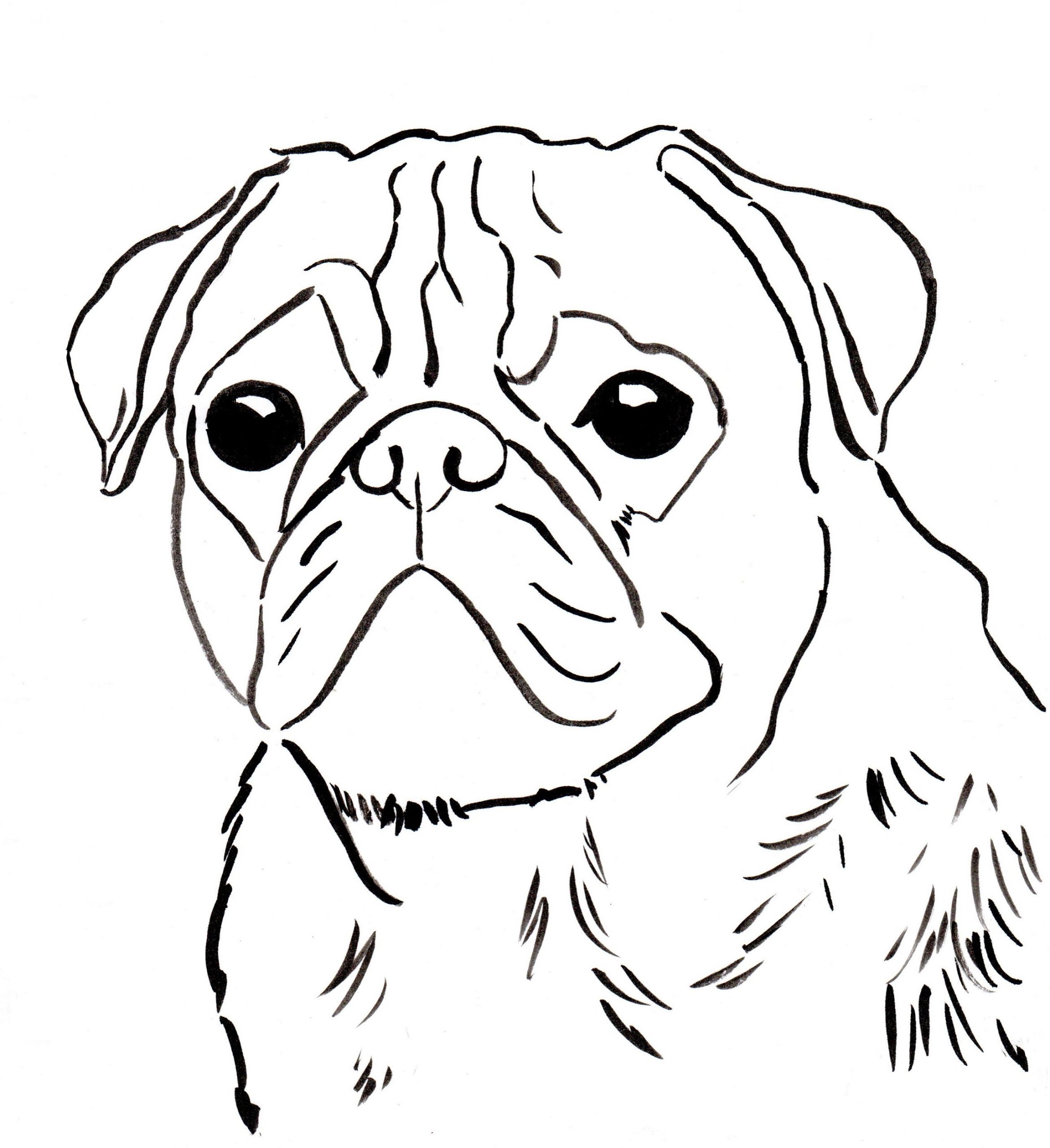 Baby Pug Coloring Pages
 Free pug coloring page to and print
