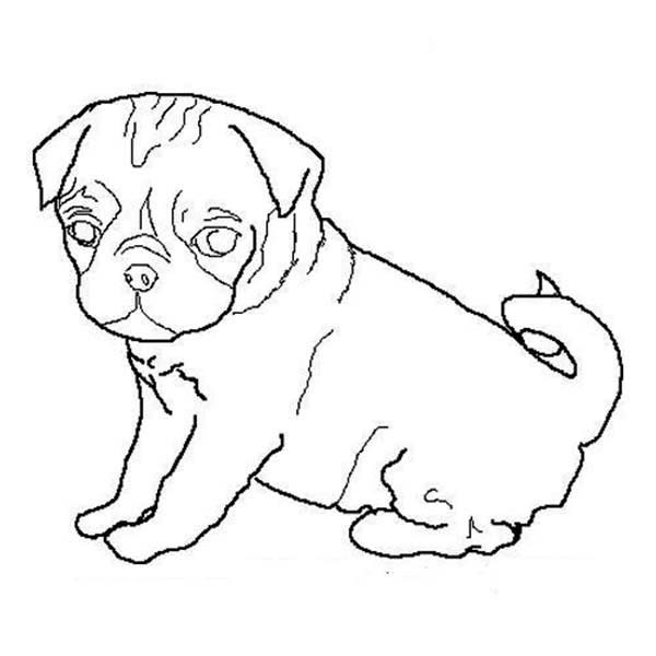 Baby Pug Coloring Pages
 Pug Dog Outline Coloring Page Pug Dog Outline Coloring