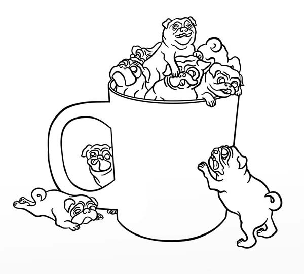 Baby Pug Coloring Pages
 Pug in a Cup Coloring Page