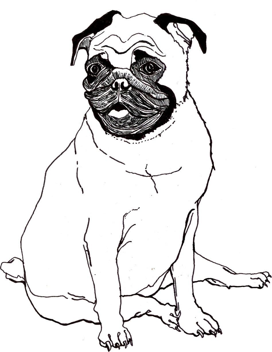 Baby Pug Coloring Pages
 Pug Coloring Pages Best Coloring Pages For Kids