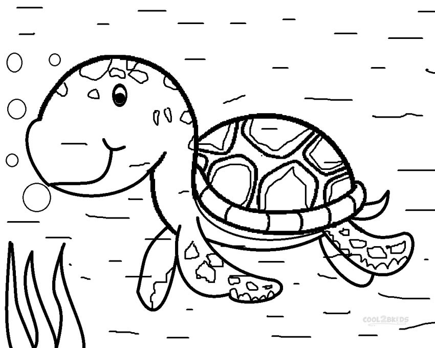 Baby Turtle Coloring Page
 Printable Sea Turtle Coloring Pages For Kids