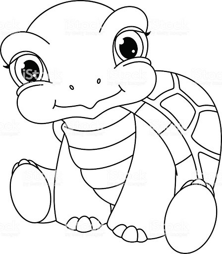 Baby Turtle Coloring Page
 adhikarikedar