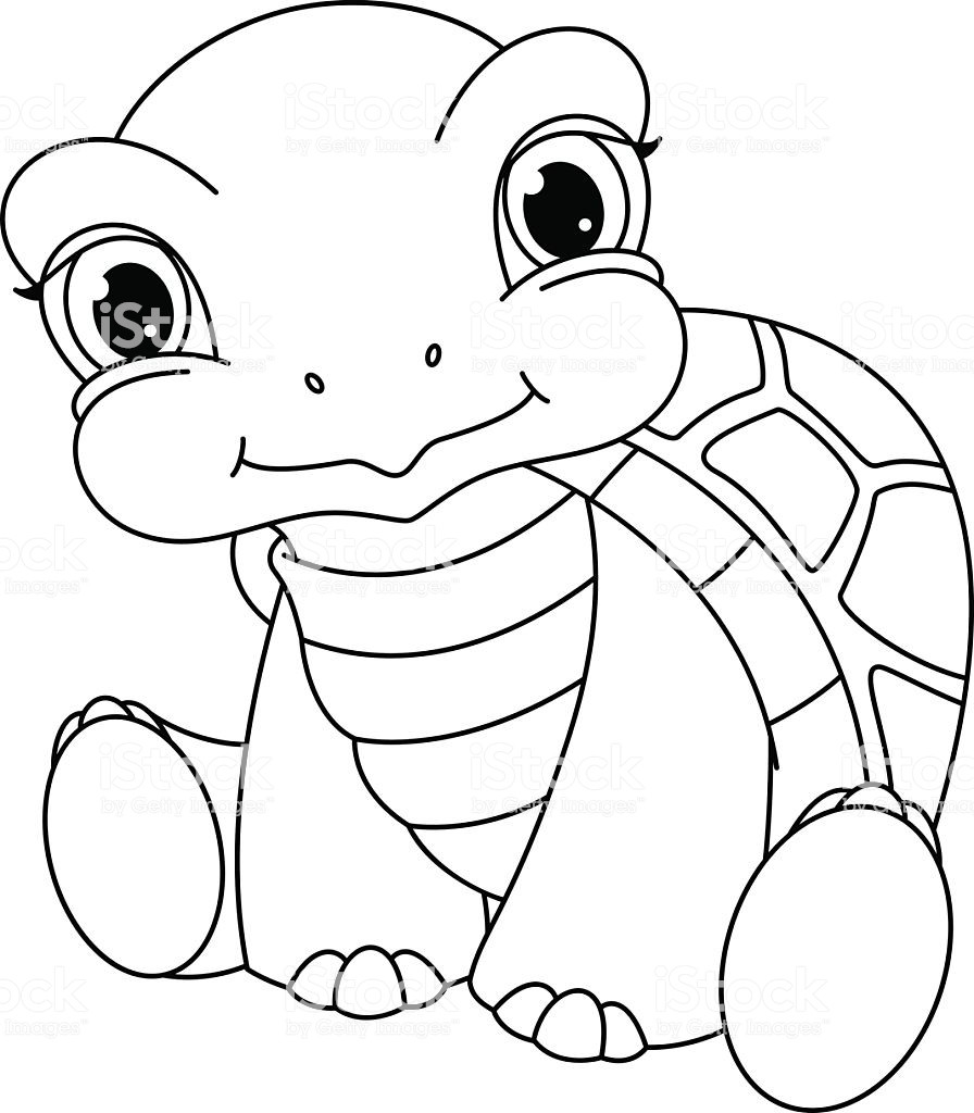 Baby Turtle Coloring Page
 20 Best Sea Turtle Coloring Page