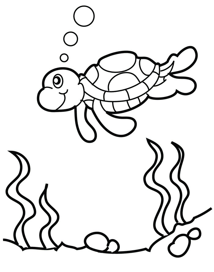Baby Turtle Coloring Page
 Free Printable Turtle Coloring Pages For Kids
