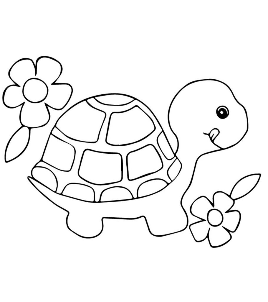 Baby Turtle Coloring Page
 Top 20 Free Printable Turtle Coloring Pages line