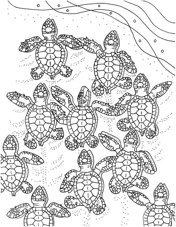 Baby Turtle Coloring Page
 Baby Sea Turtles coloring page embroidery pattern sea