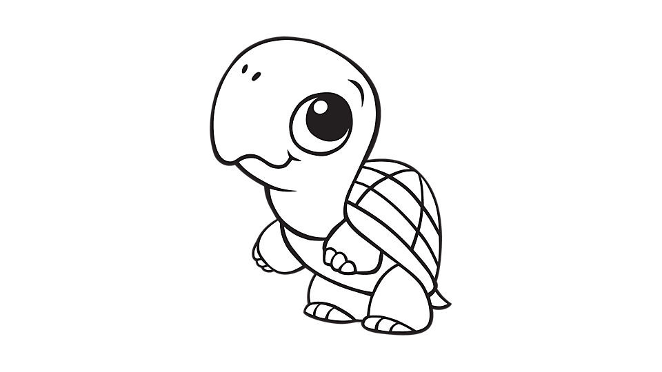 Baby Turtle Coloring Page
 Learning Friends Turtle coloring printable