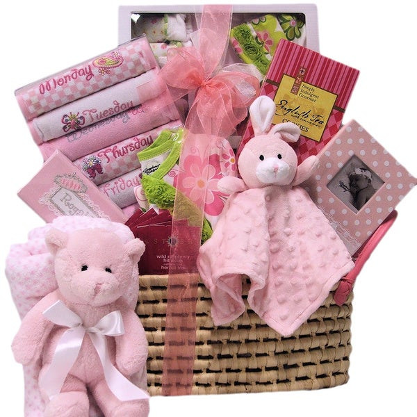 Baby Welcome Gift
 Shop Great Arrivals Wel e Home Baby Girl Gift Basket
