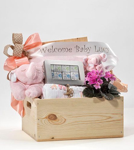 Baby Welcome Gift
 Gift Baskets & Other Gifts Boston Florist