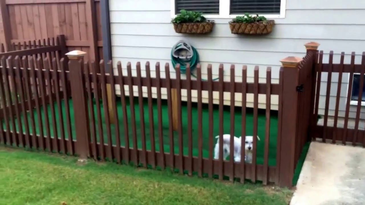 Backyard Fence For Dogs
 BACKYARD DOG KENNEL IDEA EASY DIY