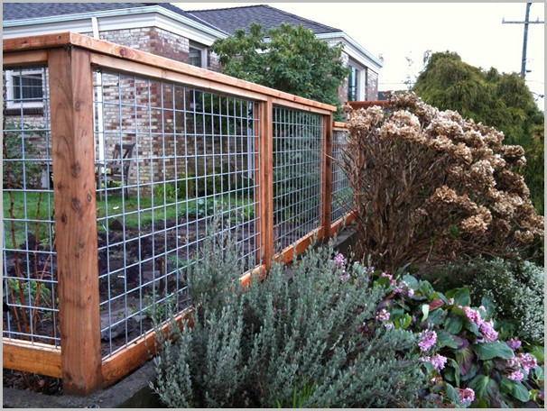 Backyard Fence For Dogs
 Backyard fence ideas for dogs