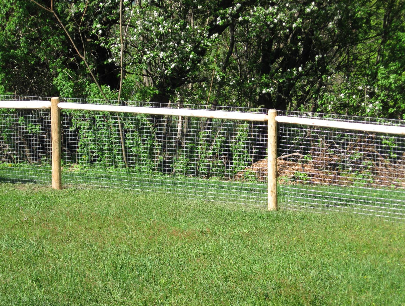 Backyard Fence For Dogs
 Cheap Fence Ideas For Dogs In DIY Reusable And Portable