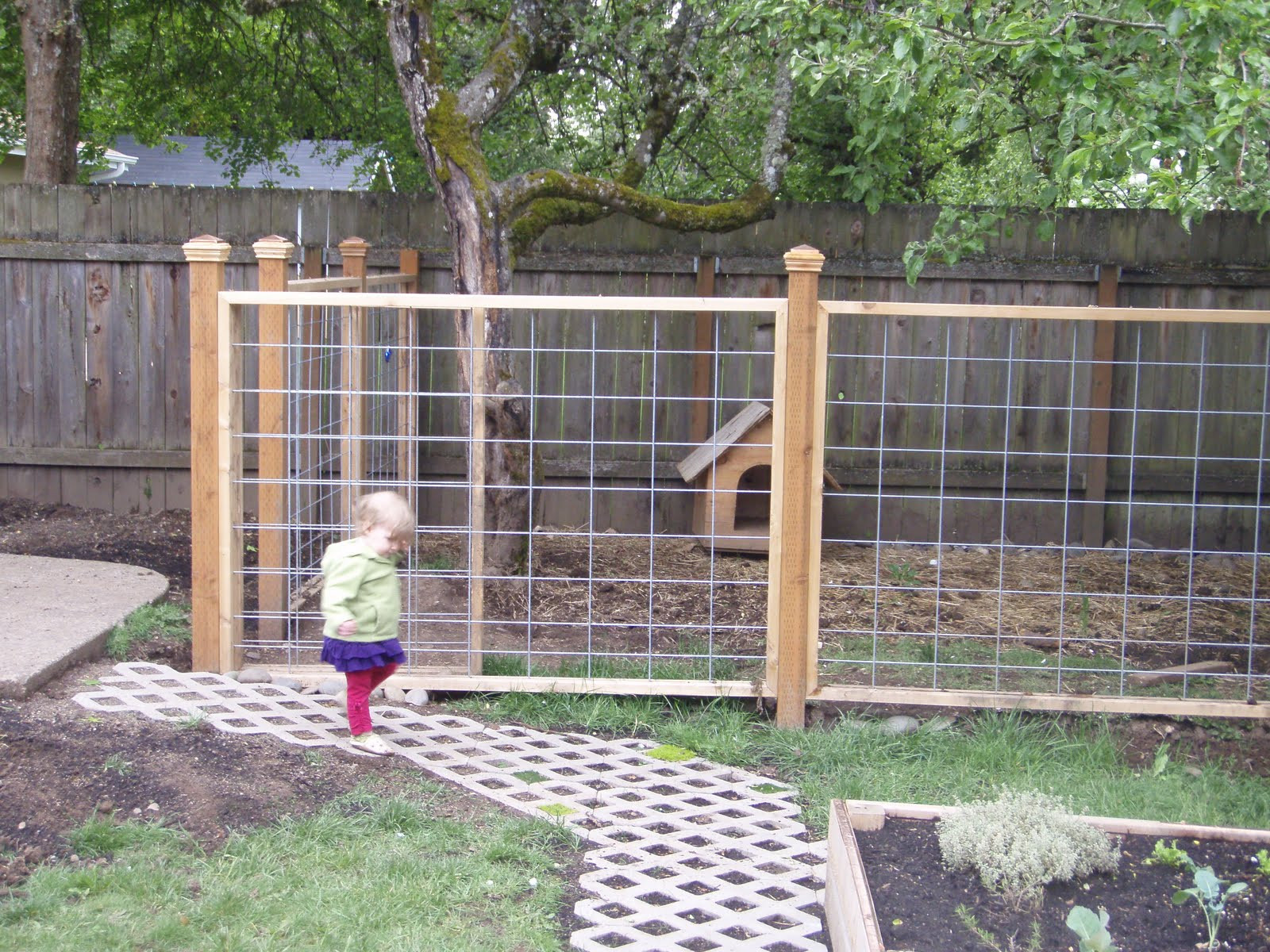 Backyard Fence For Dogs
 Mommy and Sweet Pea Make a Blog End of May and the Garden