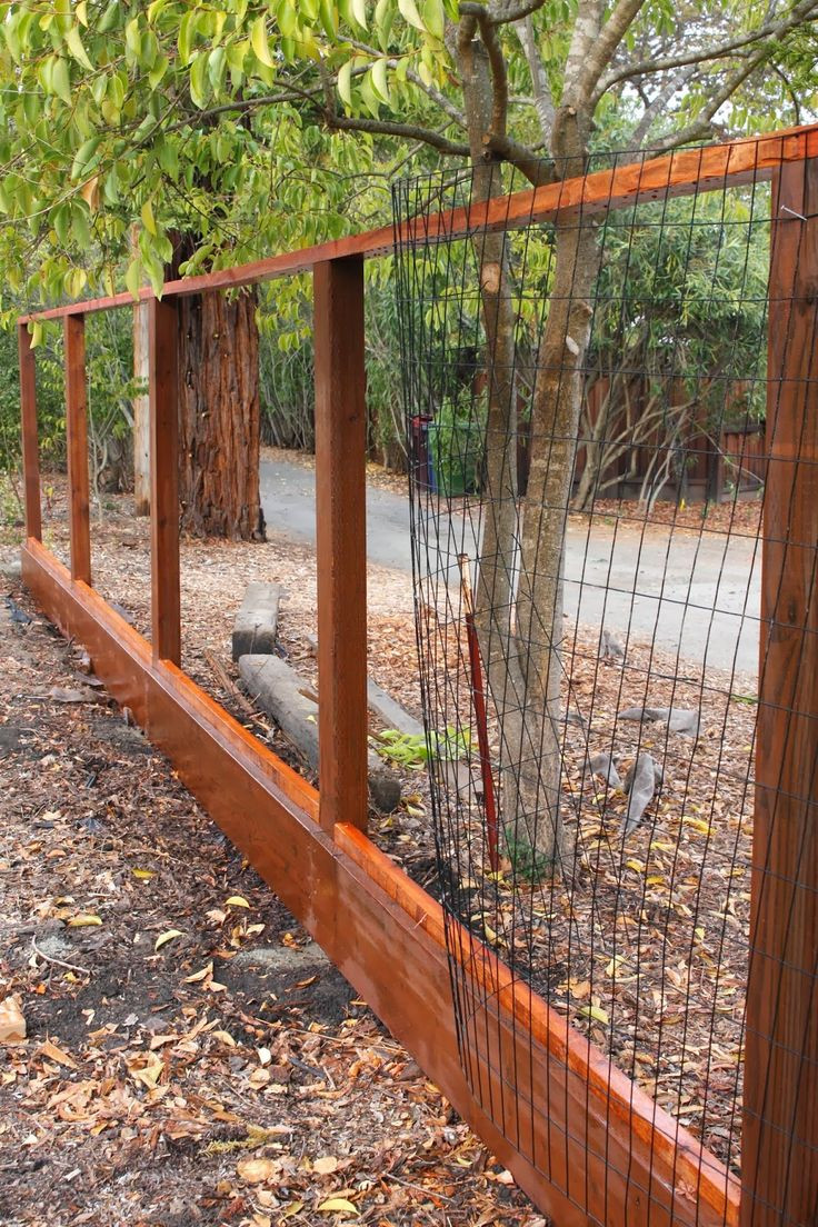 Backyard Fence For Dogs
 Outdoor Udate Deer Fence Chickens and Bunnies