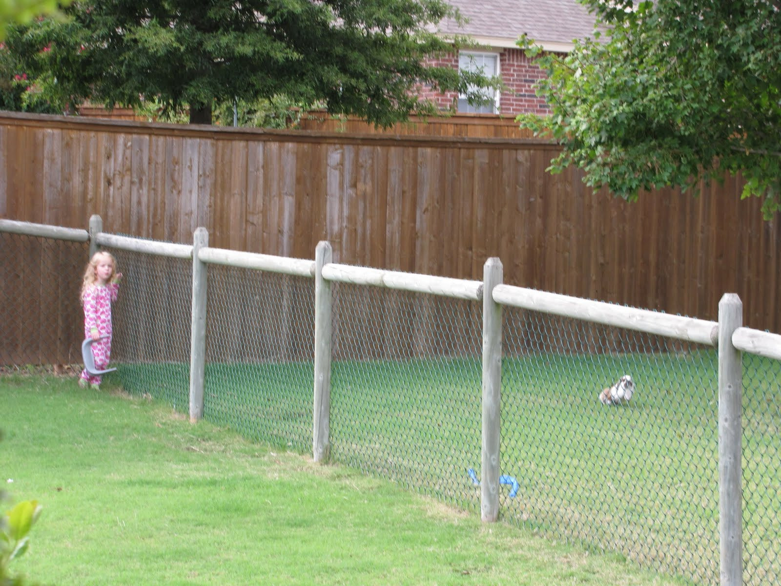 Backyard Fence For Dogs
 Temporary Dog Fence Ideas With 5 Type Easy Dog Fence