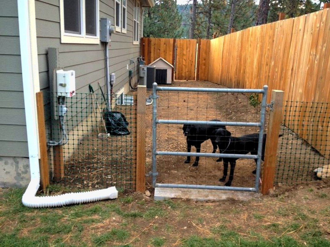 Backyard Fence For Dogs
 Backyard Dog Run Fence A Setup Your Dog Will Enjoy Pet