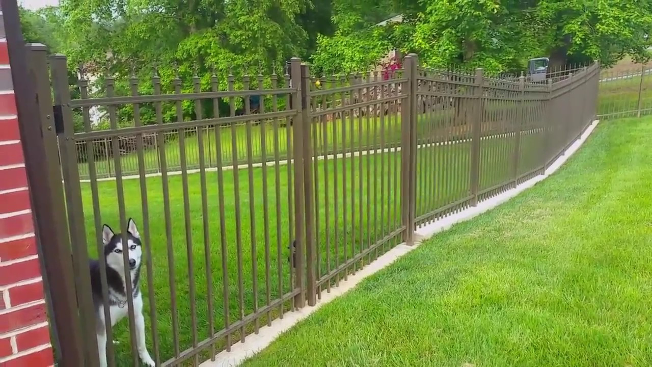 Backyard Fence For Dogs
 No Dig Dog Fence The Fence for Dogs that Dig Outdoor