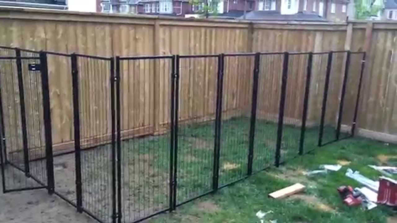 Backyard Fence For Dogs
 Backyard Renovation Building the Dog Fence part 2