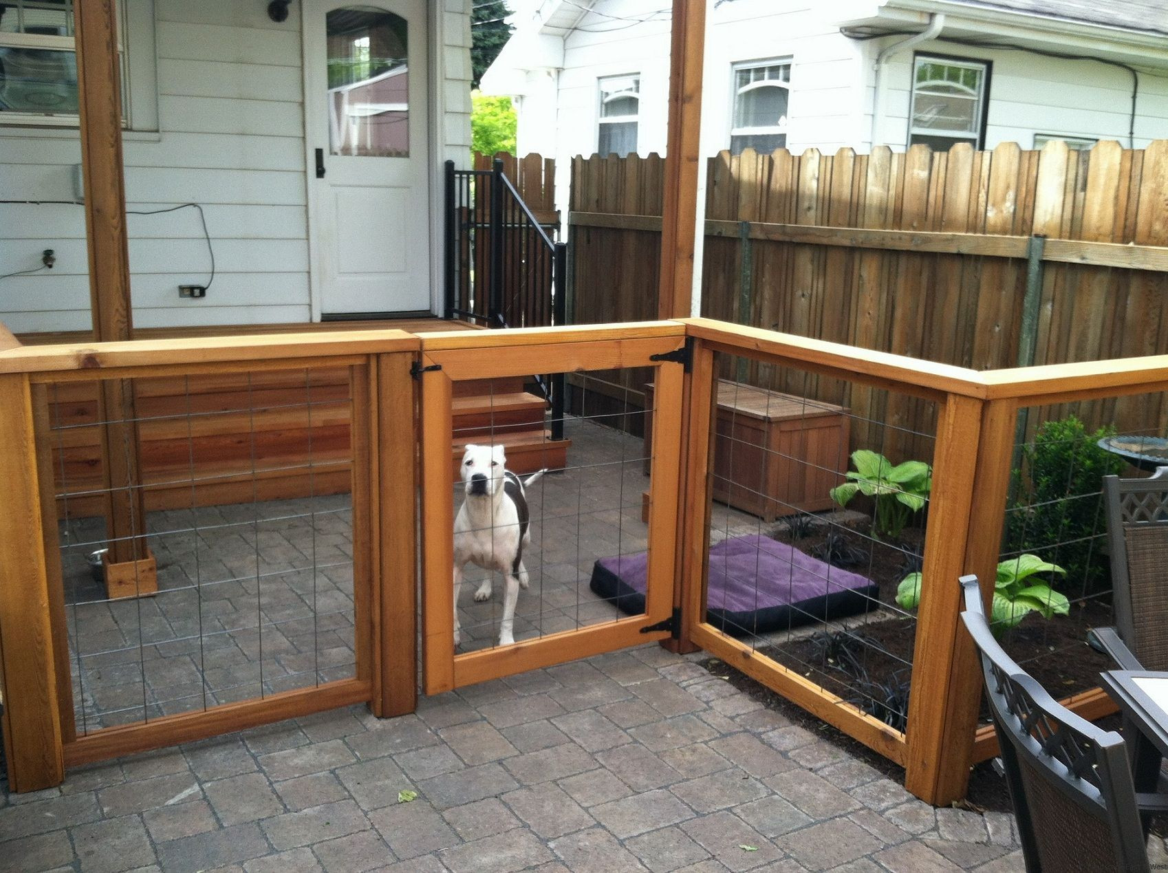 Backyard Fence For Dogs
 Fence Ideas For Dogs Backyard fence ideas to keep your