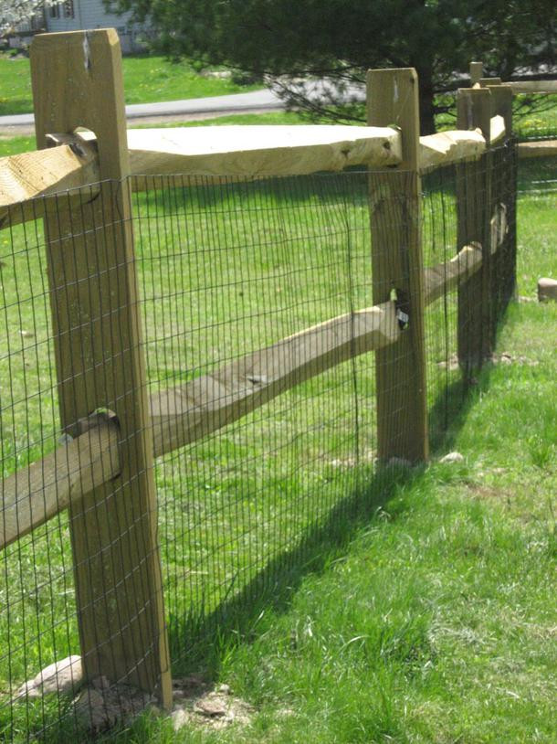 Backyard Fence For Dogs
 The DOG FENCE is UP