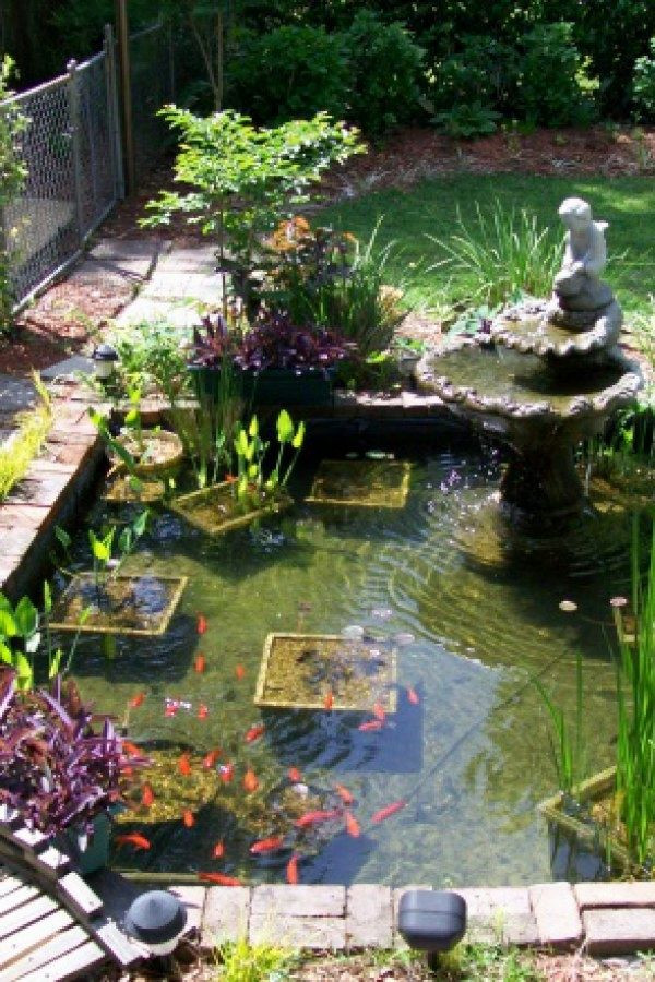 Backyard Koi Ponds Ideas
 Koi Pond Designs Water my yard