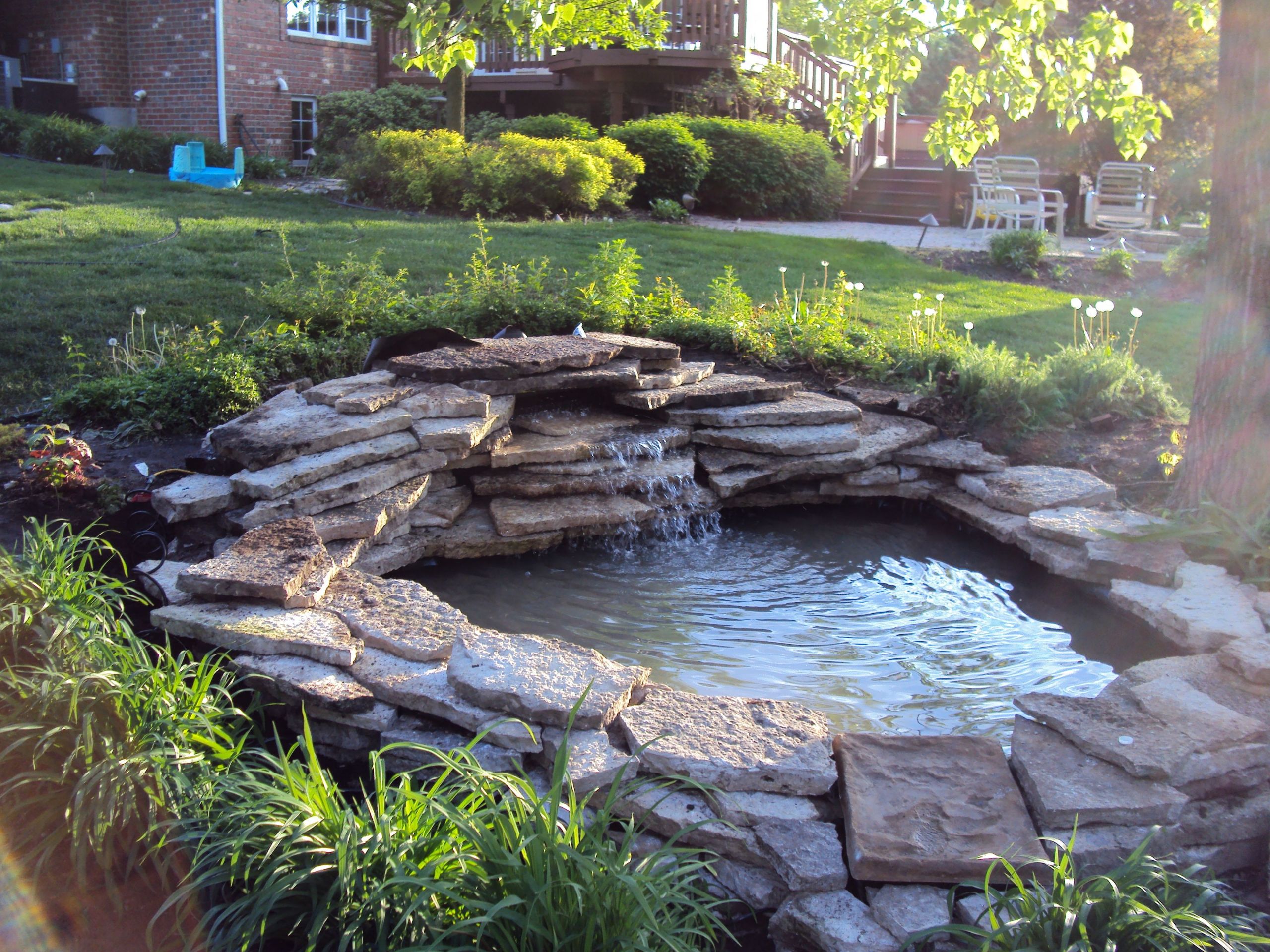Backyard Koi Ponds Ideas
 Small Backyard Pond Ideas Love a good water feature