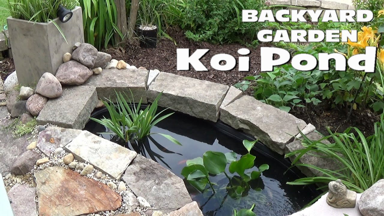 Backyard Koi Ponds Ideas
 Small Backyard Garden Koi & Goldfish Pond Setup