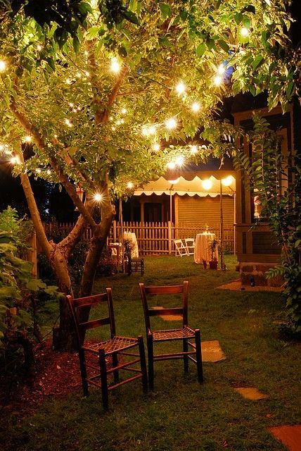 Backyard Party Lights Ideas
 Low Bud Garden Party Decorations Ideas for Garden