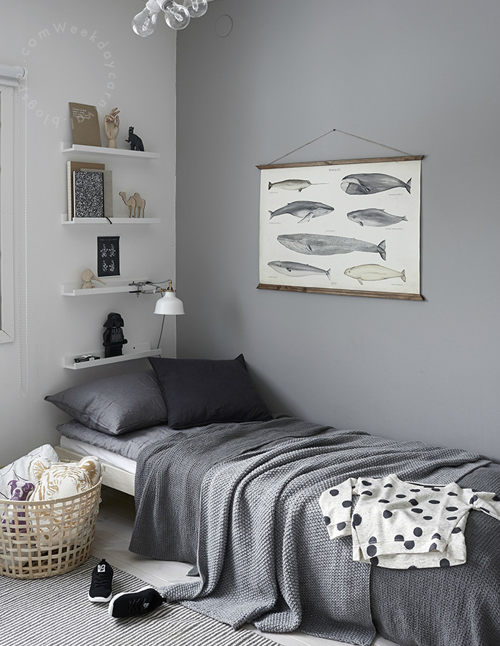Bedroom For Boy
 87 Gray Boys Room Ideas Decoholic