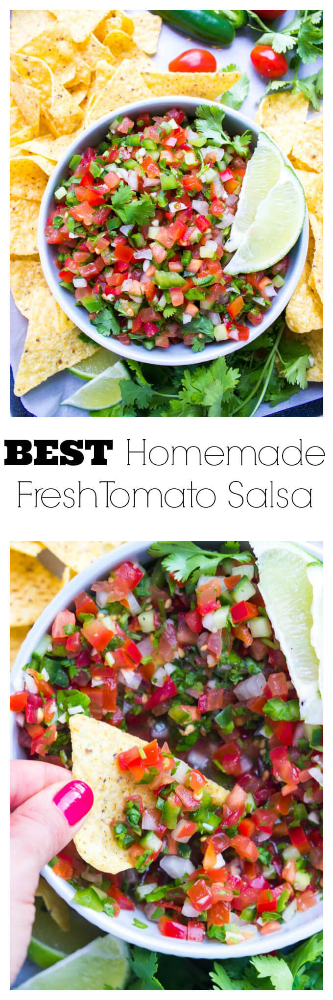 Best Fresh Salsa Recipe
 The Best Homemade Fresh Tomato Salsa