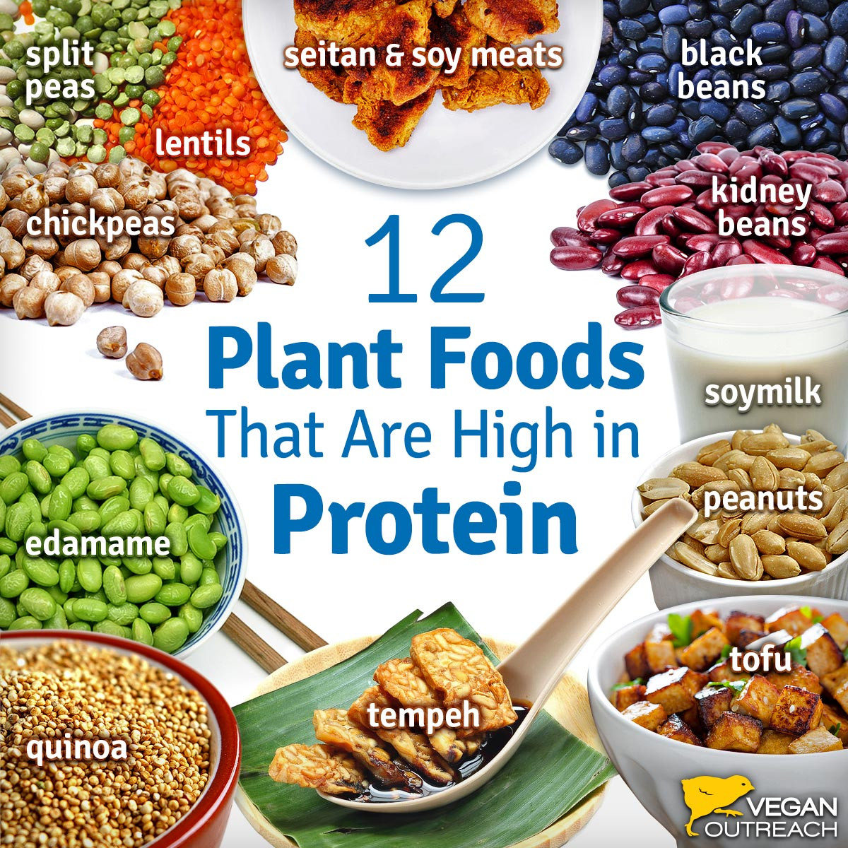 Best Vegetarian Protein Sources
 Vegan Protein Sources Familiar and Unique