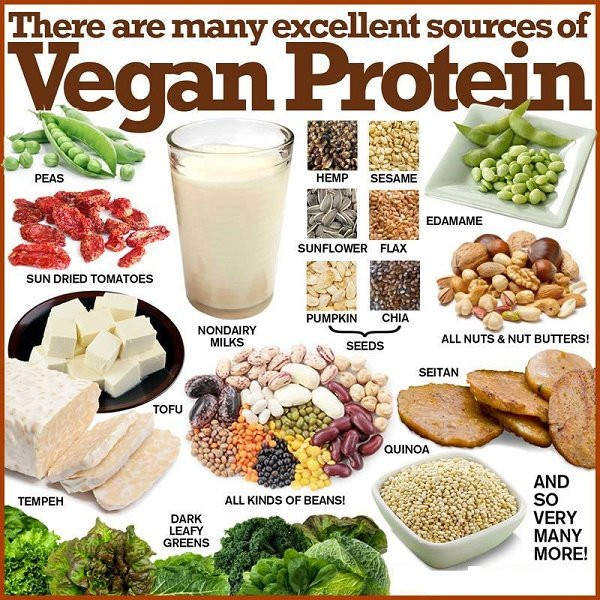 Best Vegetarian Protein Sources
 To all the people who claim a vegan t is expensive