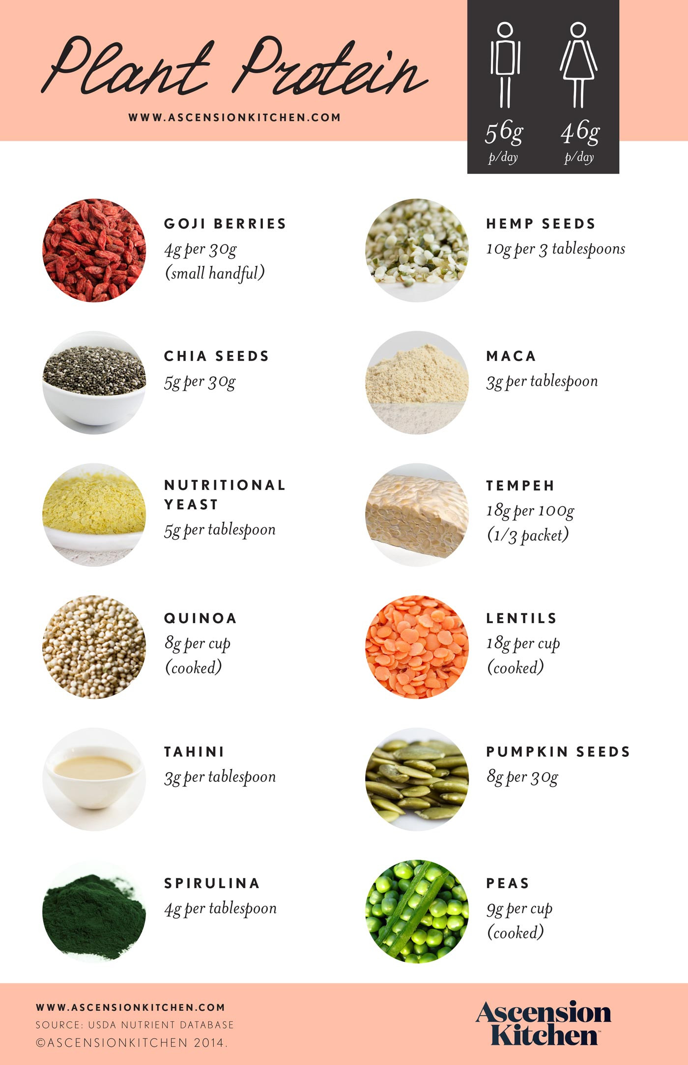 Best Vegetarian Protein Sources
 Less meat more plant based protein may prolong your life