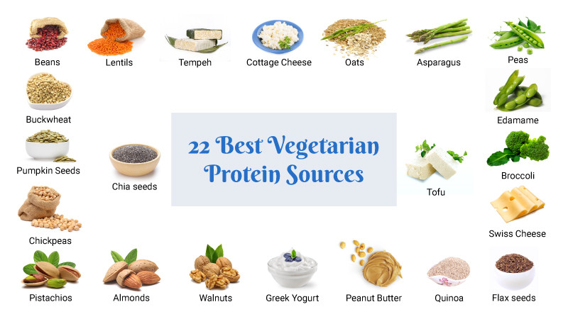 Best Vegetarian Protein Sources
 Top 10 Cheap line Food Order Apps in India You must Try