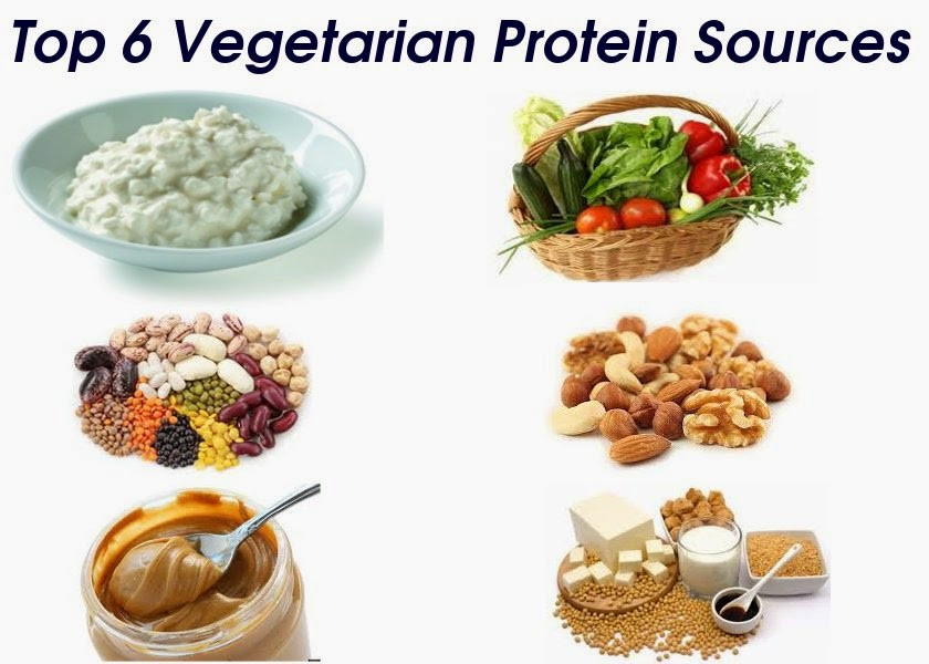 Best Vegetarian Protein Sources
 The Knight Kevin s Blog